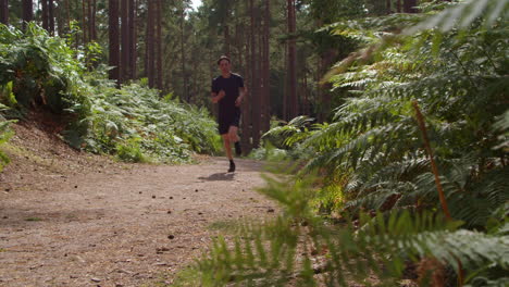 Low-Angle-Shot-Of-Man-Exercising-Doing-Work-Out-Outdoors-Running-Along-Track-Through-Forest-Towards-Camera-Wearing-Sports-Clothing-Shot-In-Real-Time